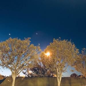 Meet your Posher, Luis